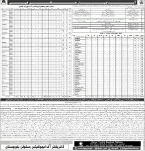 Baluchistan Secondary Education Department CTSP Jobs 2019 Application Form