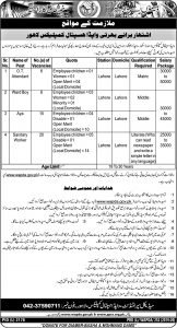 WAPDA Hospital Lahore Jobs 2021 Online Application Form