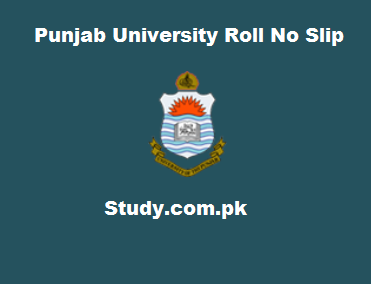 Punjab University BA/BSc Supplementary Exam Schedule 2024 Fee Structure