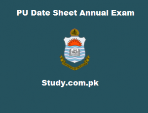 PU Date Sheet 2024 Annual Supplementary Exam BA BSc MA MSc