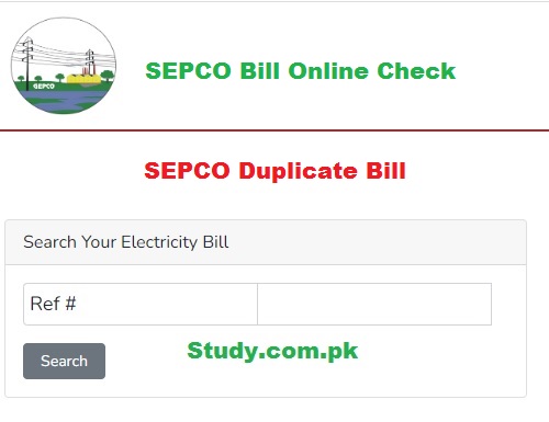 SEPCO Bill Online Check Sukkur Electric Supply Company