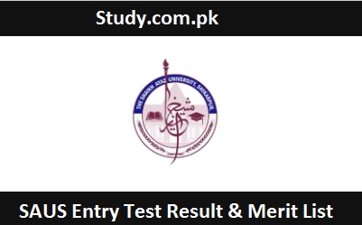 Shaikh Ayaz University Shikarpur Result 2024 Check Online