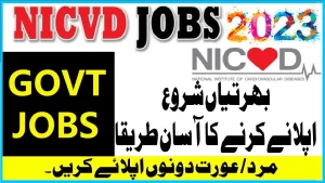 NICVD Karachi JOBS 2023