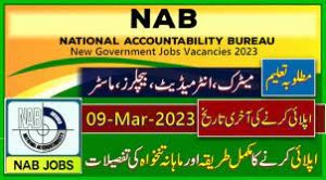 nab jobs 2024