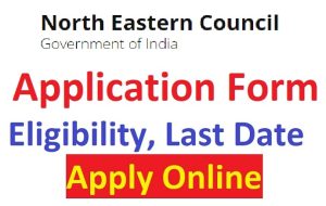 NEC-Scholarship-Application-Form-