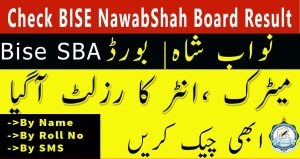 bise Nawabsahah-result 2023