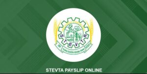 Stevta-Payslip-Online-
