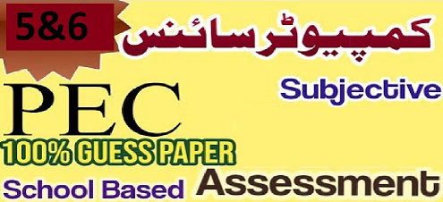 Computer Education School Based Assessment 2024 Class 5 & 6