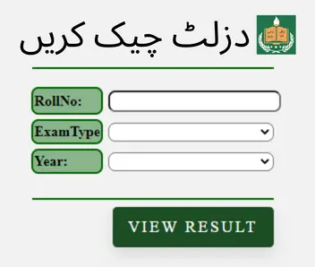 SSC 2nd Annual Exam Result 2024 BISE Peshawar Check