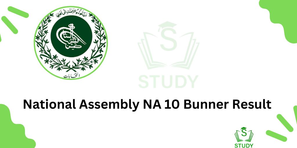 National Assembly NA 10 Bunner Result 2024 Chairman PTI Gohar